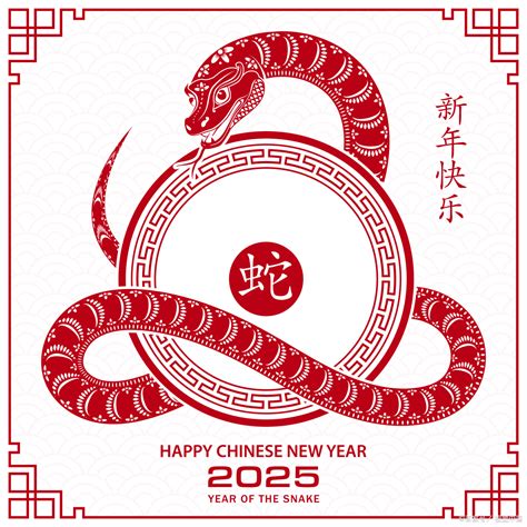 2025是什么蛇|2025年属蛇是什么命，25年出生五行属什么